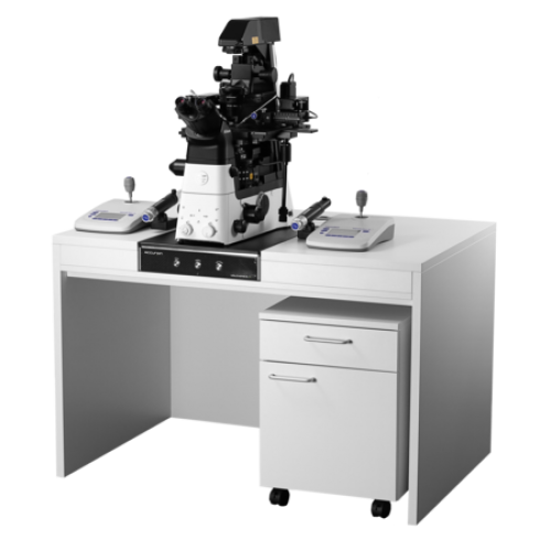 Accurion Workstation Vibration Isolation Systems: IVF Workstation Accurion Workstation Vibration Isolation Systems: IVF Workstation
