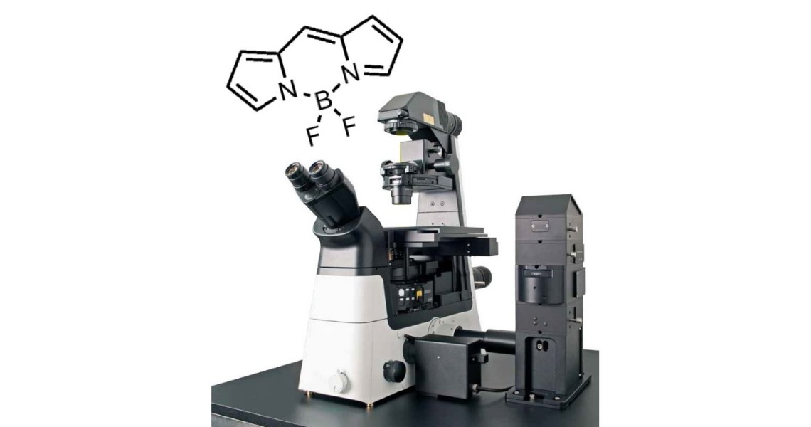 In-vitro temperature measurement using FLIM