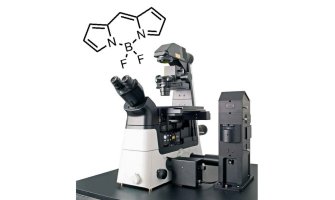 In-vitro temperature measurement using FLIM