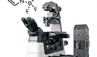 In-vitro temperature measurement using FLIM