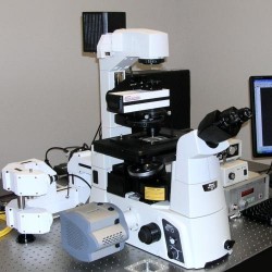 Optical Tweezers & Systems 