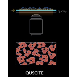 QuScite - Ultra wide  view TIRF imaging and Microscopy QuScite - Ultra wide  view TIRF imaging and Microscopy