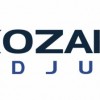 Kozak Micro Adjusters