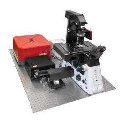 NOCTUA STIMULATED RAMAN IMAGING SYSTEM NOCTUA STIMULATED RAMAN IMAGING SYSTEM