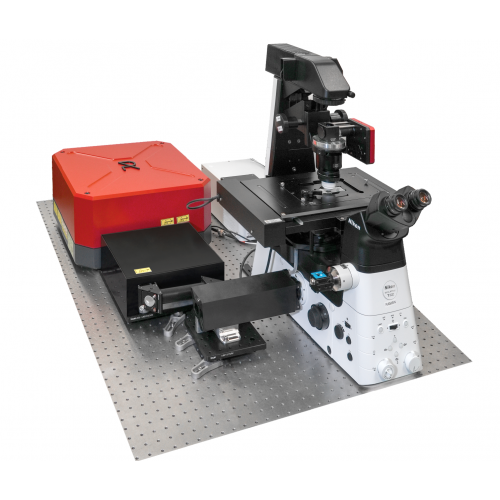 NOCTUA STIMULATED RAMAN IMAGING SYSTEM NOCTUA STIMULATED RAMAN IMAGING SYSTEM