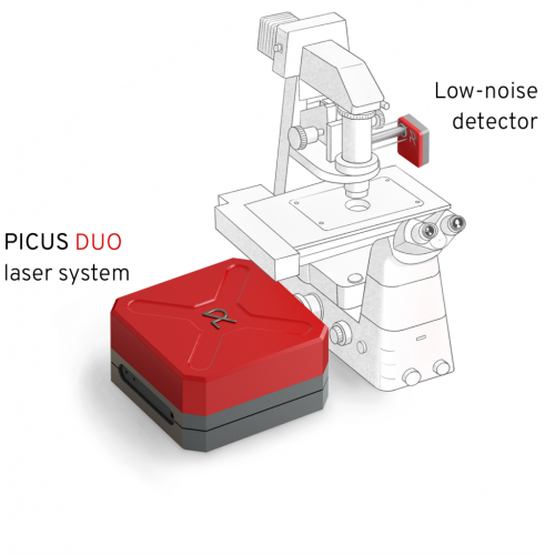 NOCTUA STIMULATED RAMAN IMAGING SYSTEM NOCTUA STIMULATED RAMAN IMAGING SYSTEM