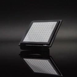 CODIXX Polarisers: colorPol® UV Polarizer