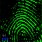 Archaeology & Forensic Applications