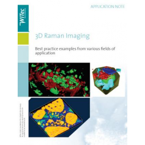 3D Confocal Raman Imaging of Bulky Geological Samples