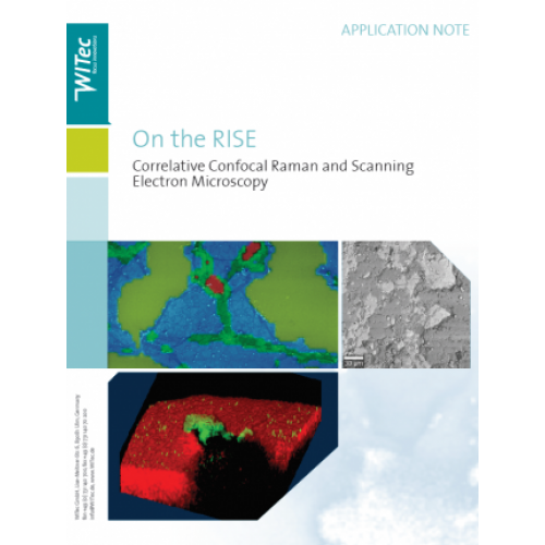 Correlative Confocal Raman and Scanning Electron Microscopy