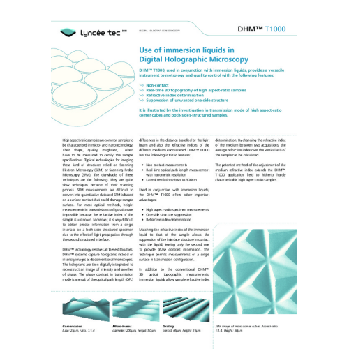 Use of immersion liquids in Digital Holographic Microscopy