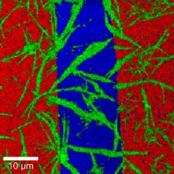 Optics and Thin Film Applications