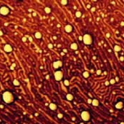 Pharmaceutical Applications