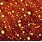 Pharmaceutical Applications