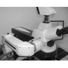 E3300 Single Spot Manual Optical Tweezers E3300 Single Spot Manual Optical Tweezers