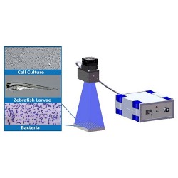 In-vitro Optogenetics Products  In-vitro Optogenetics Products