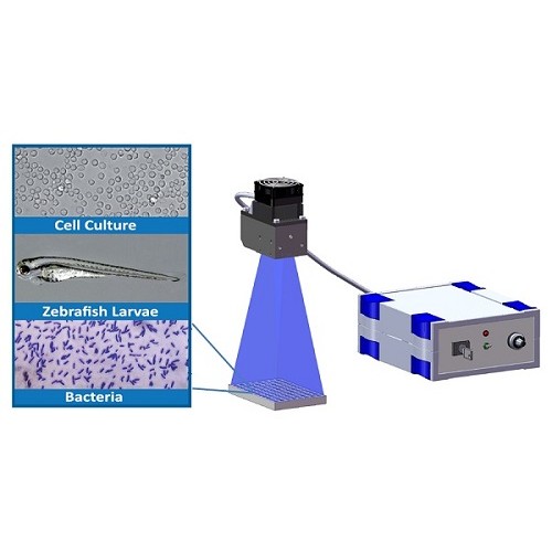 In-vitro Optogenetics Products 