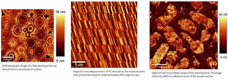 Example AFM images