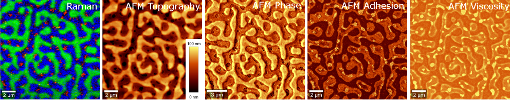 Combined Raman-AFM measurement of the same sample area of a multicomponent polymer blend